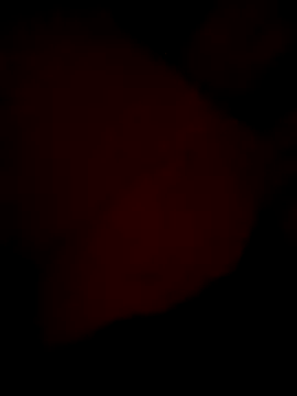 aapkichaht online show from April 16, 2026, 3:57 pm