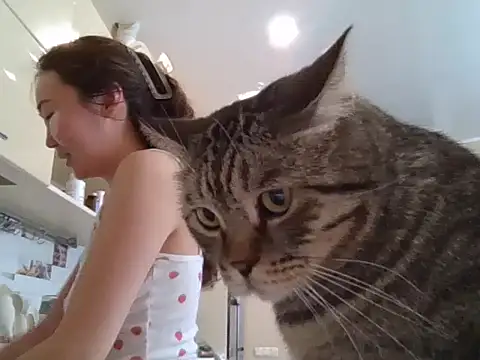 Snapshot of AsianJade1 chatting on March 24, 2026, 11:54 am AsianJade1 online show from March 24, 2026, 11:54 am