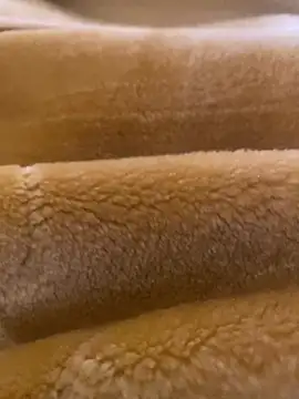 Ashwak trans online show from April 4, 2026, 12:01 pm