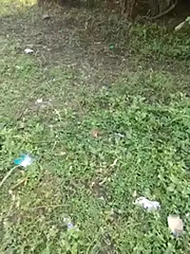 junedkhan99 online show from April 3, 2026, 3:02 am