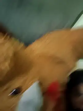 vishnu indian01 online show from March 30, 2026, 1:01 pm