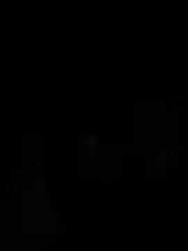 Harap a online show from June 13, 2026, 11:02 pm