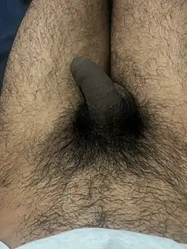 profetabr26 online show from July 14, 2026, 10:49 pm