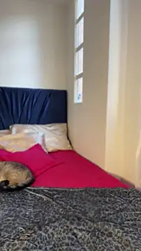 AlmaSajor  online show from July 7, 2026, 2:20 pm