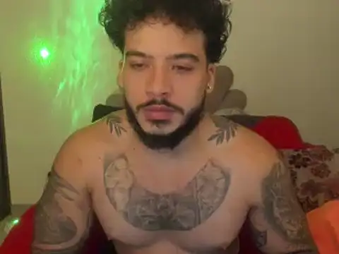 Snapshot of sinnei__ chatting on April 6, 2026, 4:46 am sinnei online show from April 6, 2026, 4:46 am