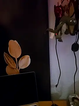 Snapshot of Kwiatywmroku chatting on April 9, 2026, 3:19 am Kwiatywmroku online show from April 9, 2026, 3:19 am