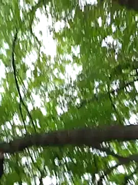 keyott online show from May 17, 2026, 3:56 pm