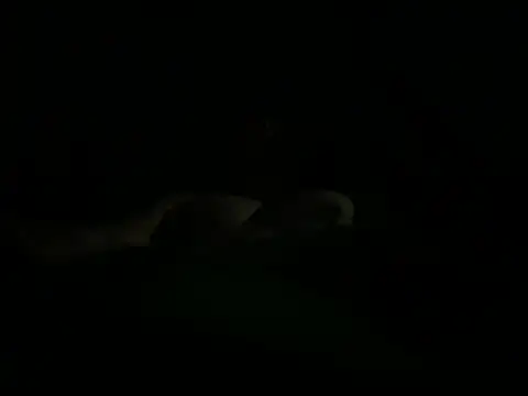 hunglikemeee online show from April 16, 2026, 1:17 am