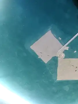 maicol6699 online show from April 18, 2026, 5:10 am