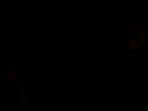 Snapshot of TooCutee chatting on July 21, 2026, 8:48 am TooCutee online show from July 21, 2026, 8:48 am