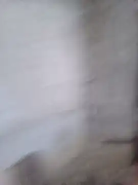 Beola-mi online show from July 13, 2026, 12:04 pm