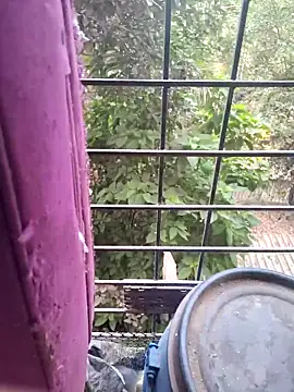 alviyaaa online show from April 26, 2026, 12:46 pm