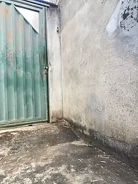 Eu line online show from April 27, 2026, 11:30 am