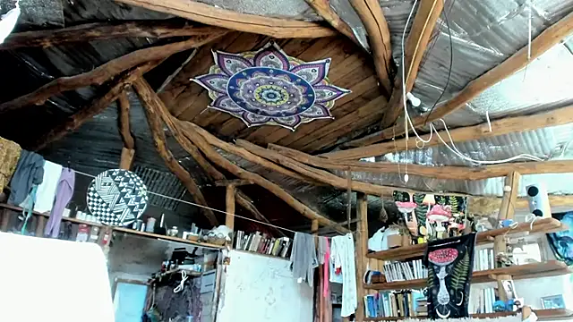 wildforestmuse  online show from July 26, 2026, 6:31 am