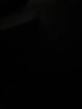 pamela morena online show from May 30, 2026, 4:08 am