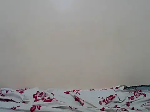 Hornysmoker20 online show from July 7, 2026, 6:47 am