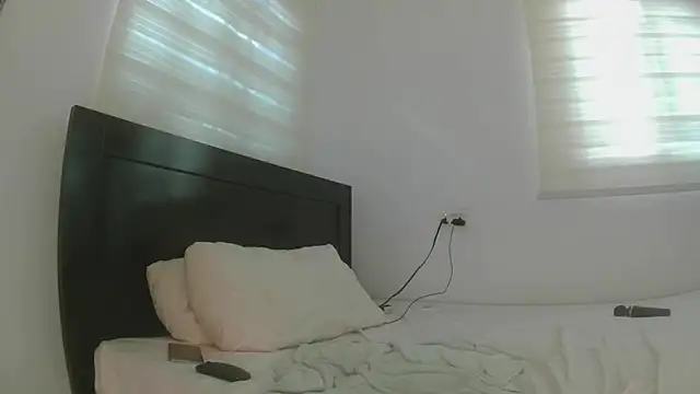 Snapshot of SovereignSilk chatting on July 29, 2026, 2:05 pm SovereignSilk online show from July 29, 2026, 2:05 pm