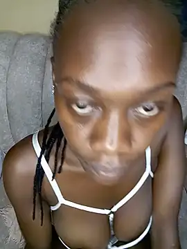 Paulahaze online show from June 4, 2026, 7:57 am