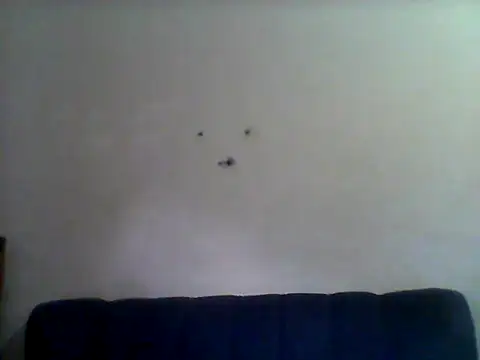 Angelbee  online show from July 27, 2026, 6:42 am