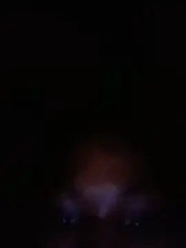 Snapshot of SalutedNonsense chatting on June 18, 2026, 11:37 am SalutedNonsense online show from June 18, 2026, 11:37 am