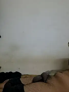 Snapshot of noxBDsm chatting on July 19, 2026, 8:38 pm noxBDsm online show from July 19, 2026, 8:38 pm