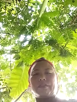 whatmes online show from July 9, 2026, 10:04 am