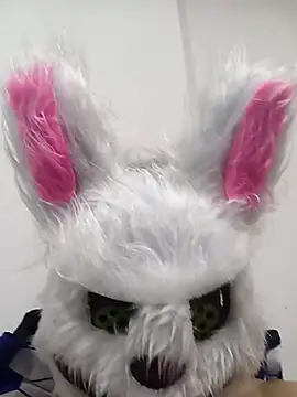 Happy rabbith online show from July 17, 2026, 6:38 pm