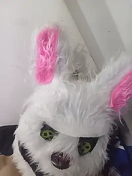 Happy rabbith online show from July 16, 2026, 5:15 am