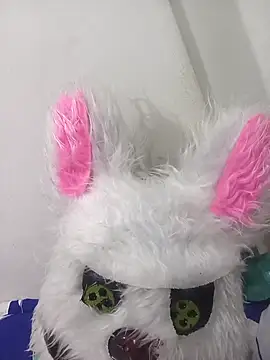 Happy rabbith online show from July 19, 2026, 3:59 am