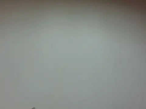 LiaBellini online show from July 28, 2026, 6:54 am