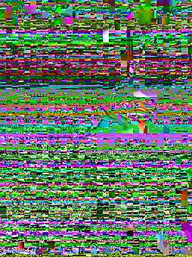 Snapshot of HairybutHorny chatting on July 29, 2026, 1:38 am HairybutHorny online show from July 29, 2026, 1:38 am