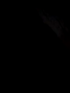 Gazda12 online show from December 19, 2025, 6:05 am