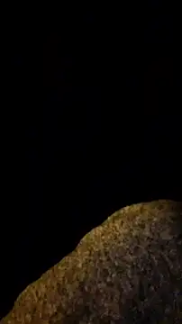 rposhta1991 online show from December 2, 2025, 4:09 pm