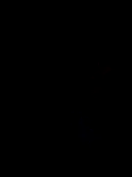 6crimson6 online show from January 24, 2025, 1:24 am