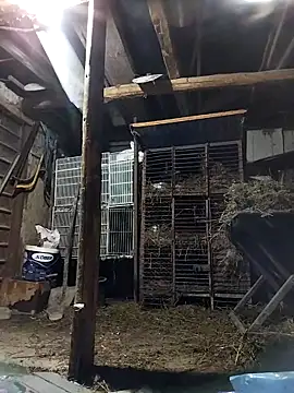 Snapshot of sarpe4 chatting on March 2, 2026, 4:58 pm sarpe4 online show from March 2, 2026, 4:58 pm