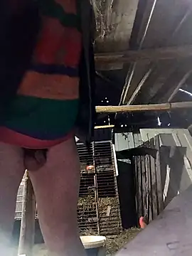 sarpe4 online show from March 30, 2026, 4:30 pm