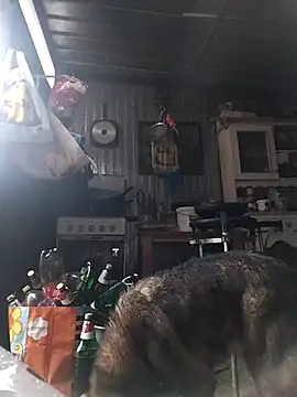 Snapshot of sarpe4 chatting on February 15, 2026, 3:00 pm sarpe4 online show from February 15, 2026, 3:00 pm