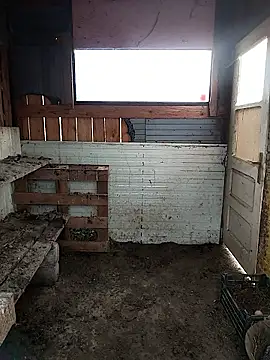 Snapshot of sarpe4 chatting on February 28, 2026, 6:57 am sarpe4 online show from February 28, 2026, 6:57 am