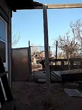 sarpe4 online show from April 15, 2026, 3:38 pm