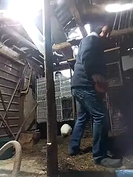 Snapshot of sarpe4 chatting on February 21, 2026, 5:20 am sarpe4 online show from February 21, 2026, 5:20 am