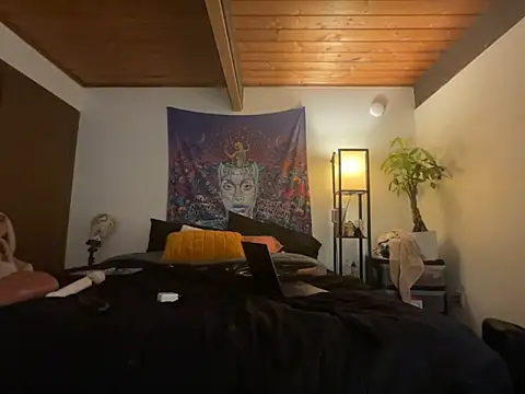 odbodu online show from February 18, 2026, 3:26 am