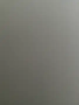 Snapshot of Bull8 chatting on February 26, 2025, 9:33 am Bull8 online show from February 26, 2025, 9:33 am