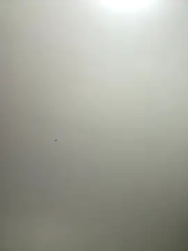 Snapshot of itsCassie chatting on December 17, 2025, 2:55 pm itsCassie online show from December 17, 2025, 2:55 pm