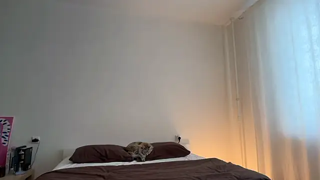 Snapshot of Milky___Way chatting on February 13, 2026, 1:44 pm Milky Way online show from February 13, 2026, 1:44 pm