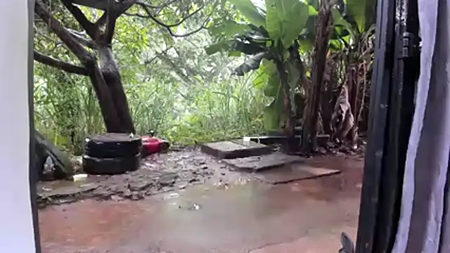 venusandzeusxh online show from December 2, 2025, 1:13 pm