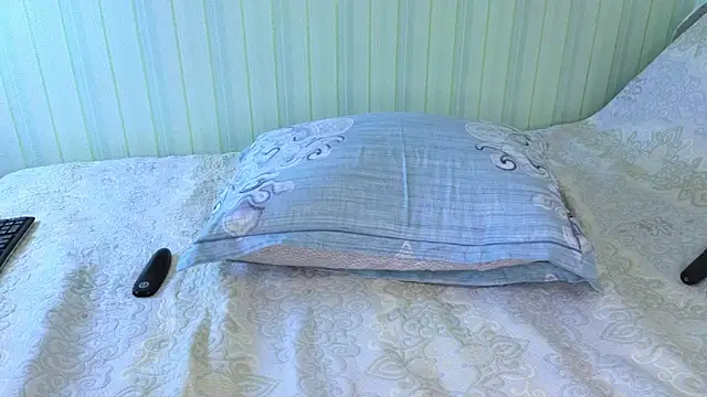 Snapshot of _Lily_ chatting on February 4, 2025, 11:16 am Lily online show from February 4, 2025, 11:16 am