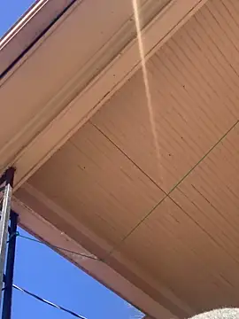 Tristris100 online show from February 24, 2025, 8:03 pm