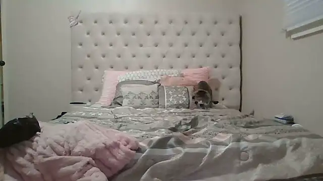 beautylovess online show from December 13, 2025, 8:04 pm