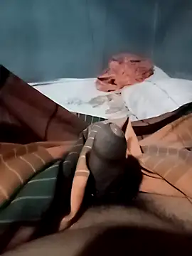 Nirmaana76 online show from February 15, 2026, 4:50 pm