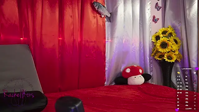 Rachellkors online show from February 17, 2025, 11:34 am